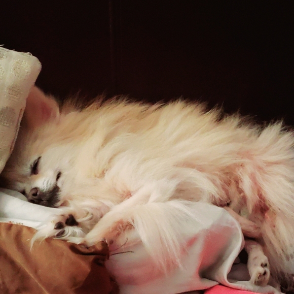 My ❤️💔 - Picture 2 of 6